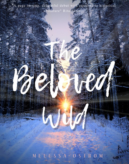 E-Ticaret Altyapısı | Güçlü ve Hazır Sistemler – SOLVES